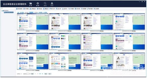 安企神信息安全管理软件上网行为监控助手V5.2绿色版 企业网络与信息安全开发的得力助手