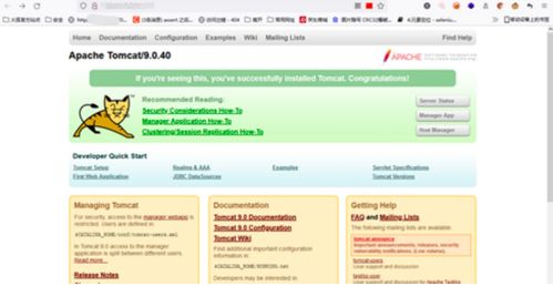 默认页面信息泄露 网络安全面试中的关键挑战与应对策略